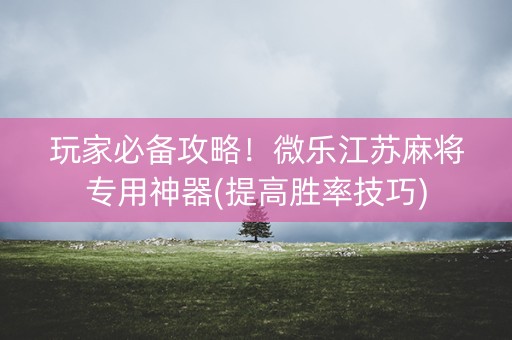 玩家必备攻略！微乐江苏麻将专用神器(提高胜率技巧)