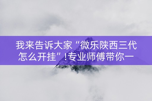 我来告诉大家“微乐陕西三代怎么开挂”!专业师傅带你一起了解（详细教程）-知乎
