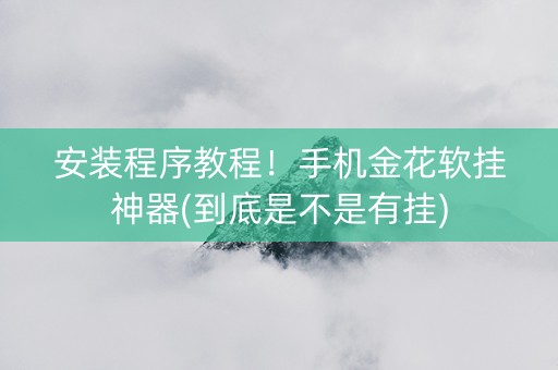 安装程序教程！手机金花软挂神器(到底是不是有挂)