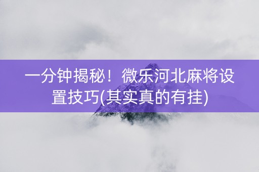 一分钟揭秘！微乐河北麻将设置技巧(其实真的有挂)