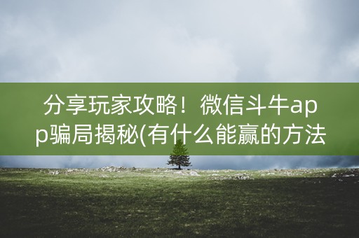 分享玩家攻略！微信斗牛app骗局揭秘(有什么能赢的方法)
