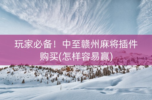玩家必备！中至赣州麻将插件购买(怎样容易赢)