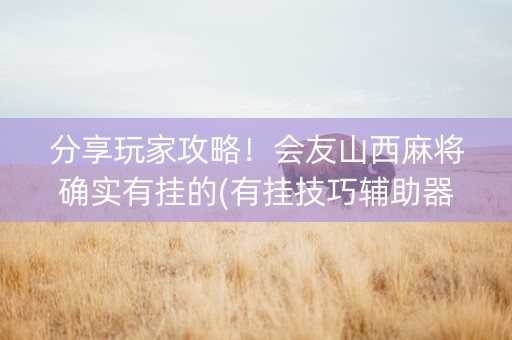分享玩家攻略！会友山西麻将确实有挂的(有挂技巧辅助器)
