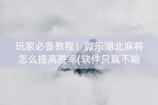 玩家必备教程！微乐湖北麻将怎么提高胜率(软件只赢不输)