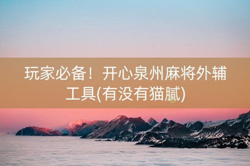 玩家必备！开心泉州麻将外辅工具(有没有猫腻)