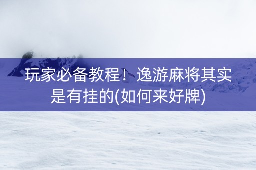 玩家必备教程！逸游麻将其实是有挂的(如何来好牌)