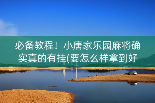 必备教程！小唐家乐园麻将确实真的有挂(要怎么样拿到好牌)
