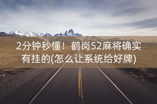 2分钟秒懂！鹤岗52麻将确实有挂的(怎么让系统给好牌)
