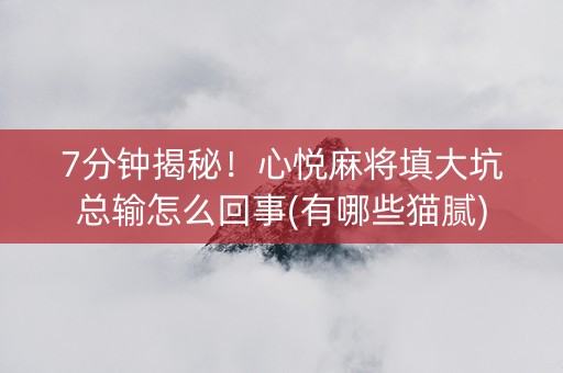 7分钟揭秘！心悦麻将填大坑总输怎么回事(有哪些猫腻)