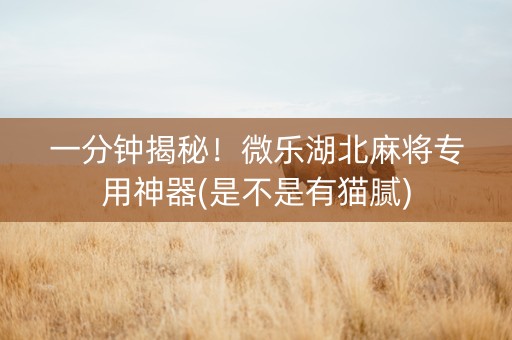 一分钟揭秘！微乐湖北麻将专用神器(是不是有猫腻)