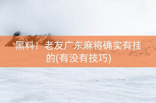 黑料！老友广东麻将确实有挂的(有没有技巧)