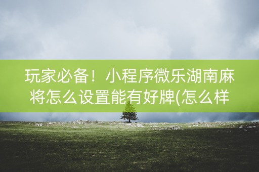 玩家必备！小程序微乐湖南麻将怎么设置能有好牌(怎么样来好牌)
