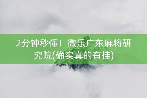 2分钟秒懂！微乐广东麻将研究院(确实真的有挂)