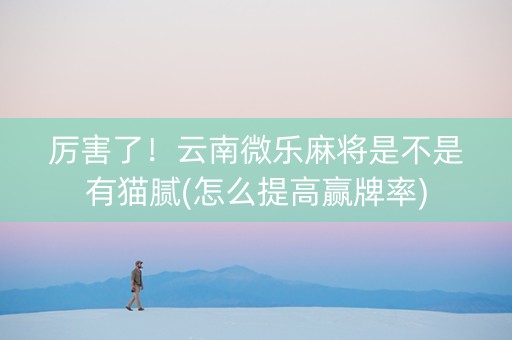 厉害了！云南微乐麻将是不是有猫腻(怎么提高赢牌率)