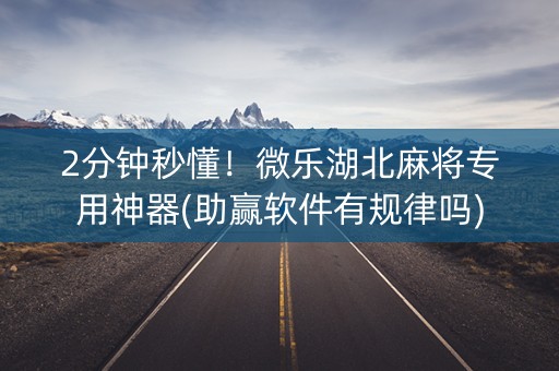 2分钟秒懂！微乐湖北麻将专用神器(助赢软件有规律吗)
