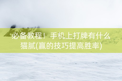 必备教程！手机上打牌有什么猫腻(赢的技巧提高胜率)