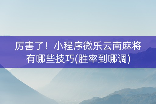 厉害了！小程序微乐云南麻将有哪些技巧(胜率到哪调)