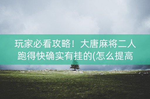 玩家必看攻略！大唐麻将二人跑得快确实有挂的(怎么提高好牌几率)