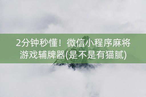 2分钟秒懂！微信小程序麻将游戏辅牌器(是不是有猫腻)