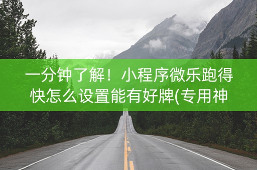 一分钟了解！小程序微乐跑得快怎么设置能有好牌(专用神器下载)