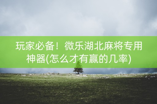 玩家必备！微乐湖北麻将专用神器(怎么才有赢的几率)