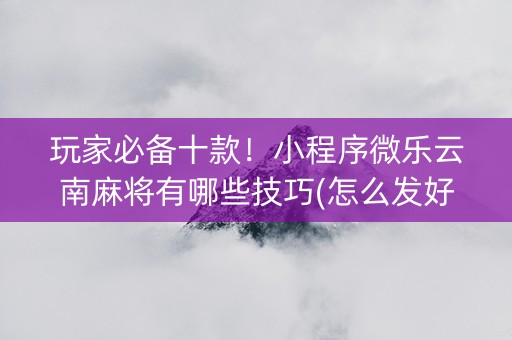 玩家必备十款！小程序微乐云南麻将有哪些技巧(怎么发好牌)