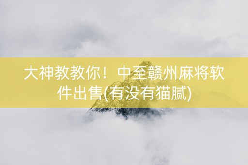 大神教教你！中至赣州麻将软件出售(有没有猫腻)