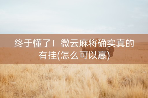 终于懂了！微云麻将确实真的有挂(怎么可以赢)