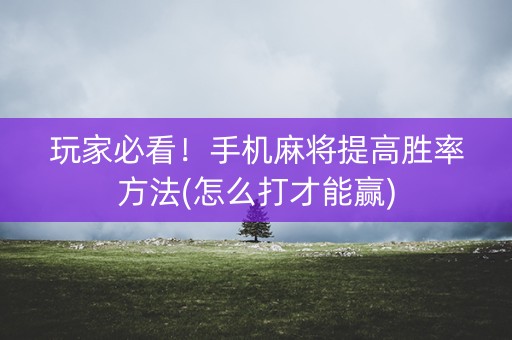 玩家必看！手机麻将提高胜率方法(怎么打才能赢)