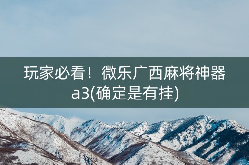玩家必看！微乐广西麻将神器a3(确定是有挂)