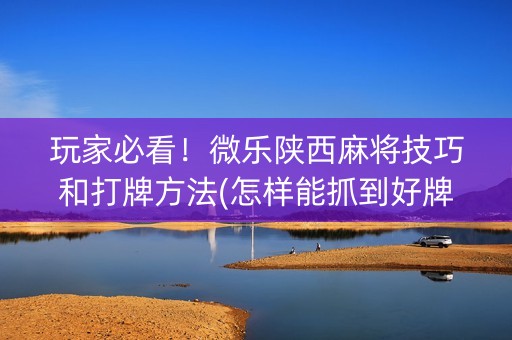 玩家必看！微乐陕西麻将技巧和打牌方法(怎样能抓到好牌)