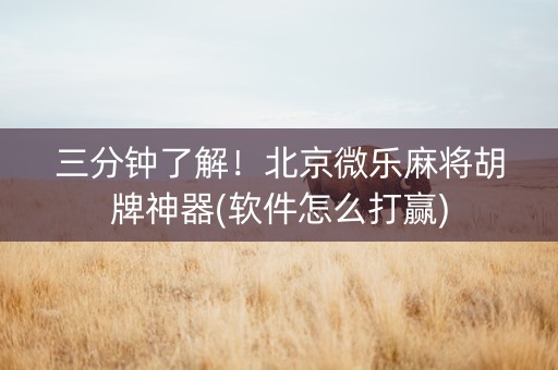 三分钟了解！北京微乐麻将胡牌神器(软件怎么打赢)