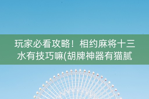 玩家必看攻略！相约麻将十三水有技巧嘛(胡牌神器有猫腻吗)