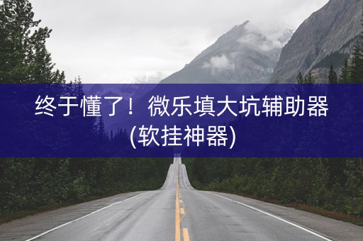 终于懂了！微乐填大坑辅助器(软挂神器)