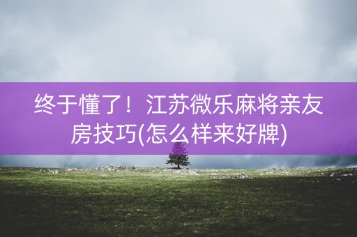 终于懂了！江苏微乐麻将亲友房技巧(怎么样来好牌)