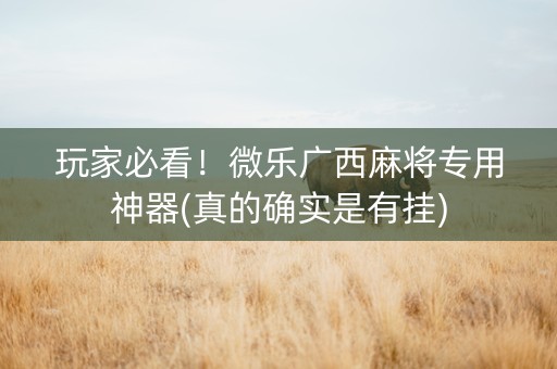 玩家必看！微乐广西麻将专用神器(真的确实是有挂)
