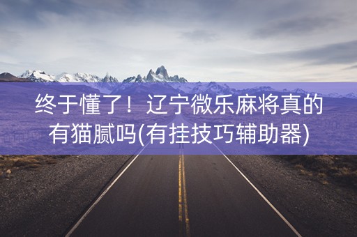 终于懂了！辽宁微乐麻将真的有猫腻吗(有挂技巧辅助器)