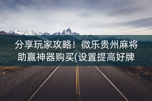 分享玩家攻略！微乐贵州麻将助赢神器购买(设置提高好牌几率)