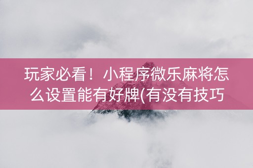 玩家必看！小程序微乐麻将怎么设置能有好牌(有没有技巧)