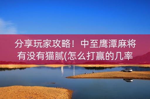 分享玩家攻略！中至鹰潭麻将有没有猫腻(怎么打赢的几率大)