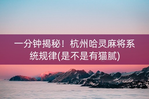 一分钟揭秘！杭州哈灵麻将系统规律(是不是有猫腻)