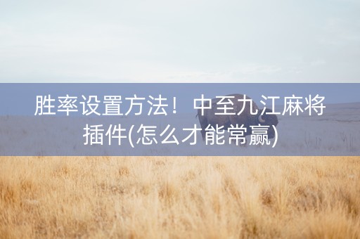 胜率设置方法！中至九江麻将插件(怎么才能常赢)
