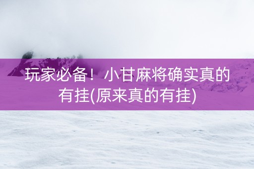 玩家必备！小甘麻将确实真的有挂(原来真的有挂)