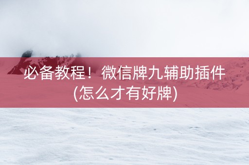 必备教程！微信牌九辅助插件(怎么才有好牌)