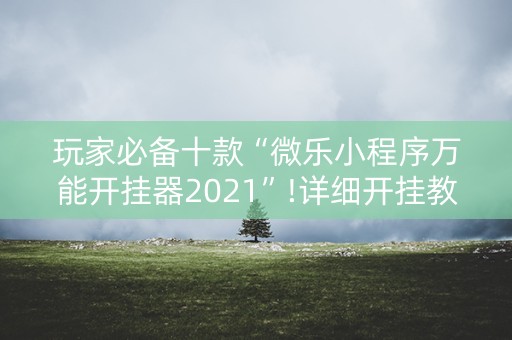 玩家必备十款“微乐小程序万能开挂器2021”!详细开挂教程-知乎