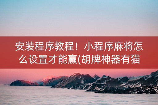 安装程序教程！小程序麻将怎么设置才能赢(胡牌神器有猫腻吗)