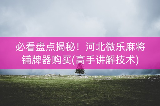 必看盘点揭秘！河北微乐麻将铺牌器购买(高手讲解技术)