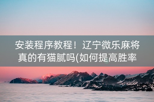 安装程序教程！辽宁微乐麻将真的有猫腻吗(如何提高胜率)