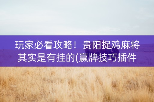 玩家必看攻略！贵阳捉鸡麻将其实是有挂的(赢牌技巧插件安装)