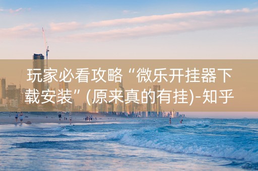 玩家必看攻略“微乐开挂器下载安装”(原来真的有挂)-知乎